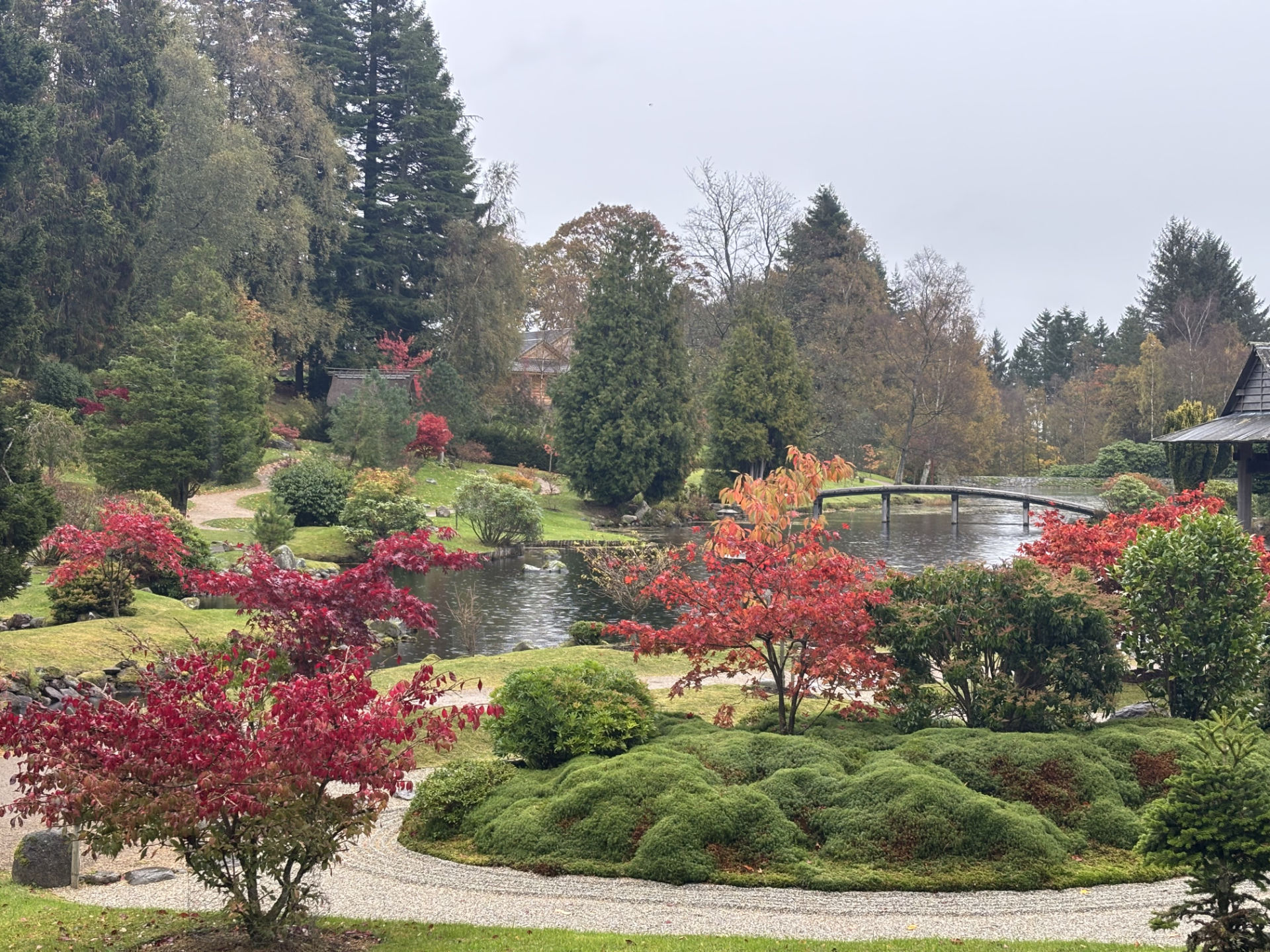 Japanese Garden in the autumn