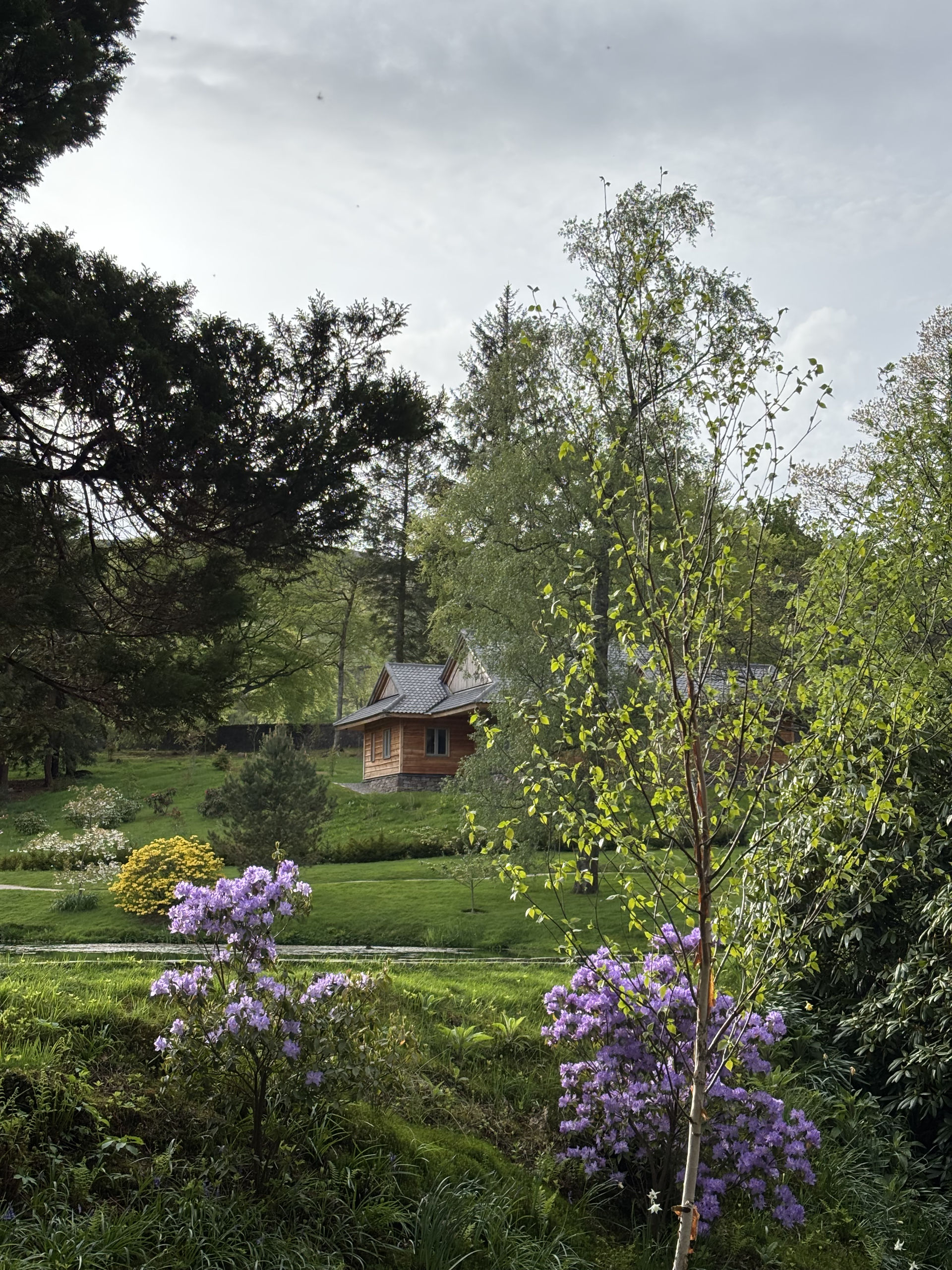 View from Christie Lodge